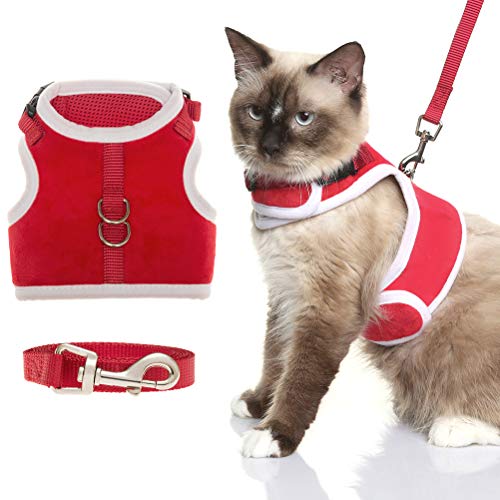 bingpet cat harness