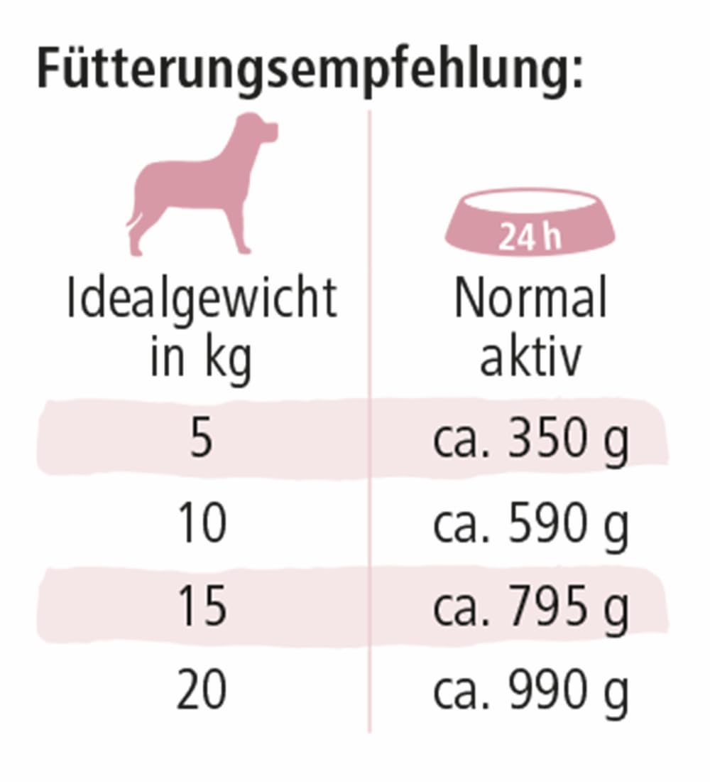 defu Hundefutter | 12 x 410 g | Bio Schwein Sensitiv | Premium Bio Nassfutter Menü | Alleinfuttermittel für Hunde