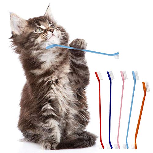 Spazzolino da denti per cani a doppia testa con