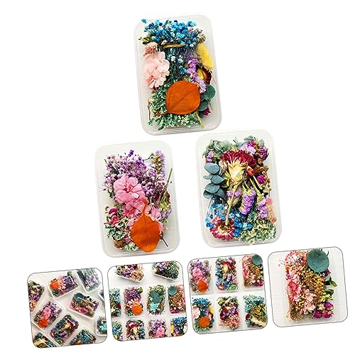 Flores secas reales decorativas aromáticas en caja x3 miniatura 2