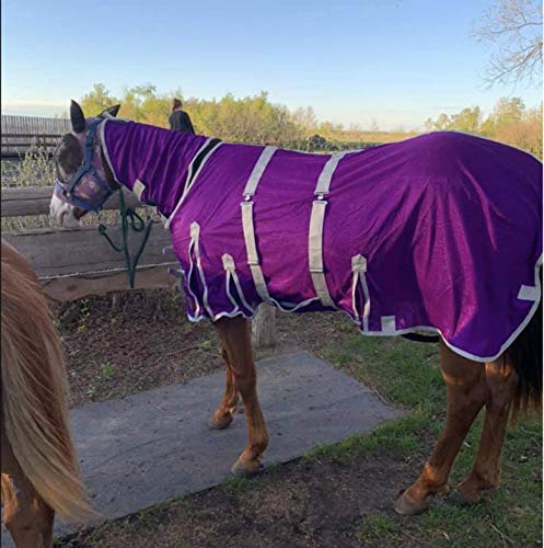 Image of Heavy Duty Horse Fly Sheet with Neck and Detachable Belly Band | Summer Sheet (74, Purple)