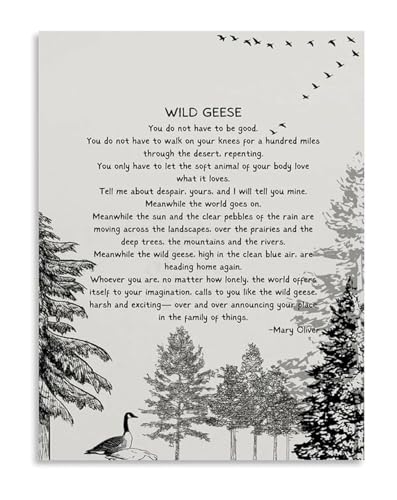 Nature Inspired Wild Goose Poem Canvas Art Print for Living Room Bedroom Wall Decor and Home Art(Framed,16x24inch(40x60cm))