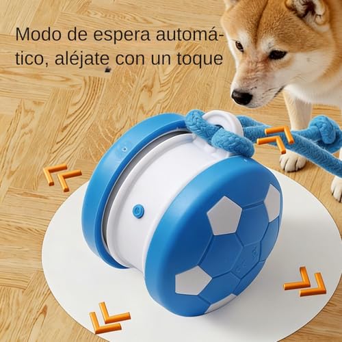 Jouet interactif pour chat avec corde de queue rechargeable pour la chasse - 6
