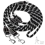 Verstellbar Hundeleine Für Große, Hundeleine Mit Karabiner, Robuste Reflektierende Nylon-Freihandleine Umhängeleine Für Große/Mittlere Hunde Mit 2 Karabinern 250kg Zugkraft, 12mm Breite, Schwarz (2m)