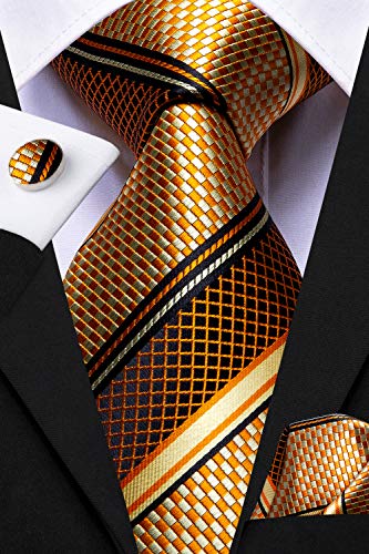 Image of Dubulle Mens Paisley Floral Silk Tie for Men Striped Necktie and Pocket Square Cufflinks Set Wedding Business