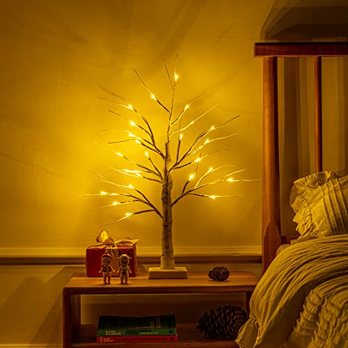 Meetyamor 2Ft/24” Birch Tree Light With 24Lt Warm White Led Battery Powered Timer For Christmas Decorations Indoor, Money Trees For Mothers Fathers Day 4Th Of July Wedding Desk Table Mantel Home Decor #TOP6
