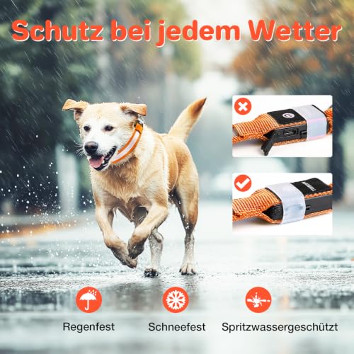 Leuchthalsband Hund, Hundehalsband Leuchtend Aufladbar, LED Halsband für Hunde Leuchtband Einstellbar Wasserdicht mit 3 Lichtmodi… – Ansicht 6