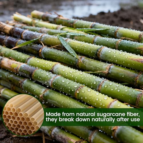image for HANSGO Cocktail Straws, 5 Inch Short Sugarcane Straws Disposable Mini 