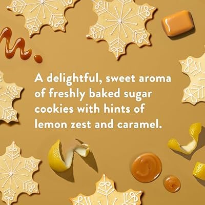 Native Body Wash, Holiday Edition, Sugar Cookie Scent, Contains Naturally Derived Ingredients | For Women & Men, Sulfate, Paraben, Dye Free Leaving Skin Soft and Hydrated | 18 oz