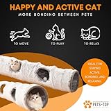 Zoom IMG-1 one pets top tunnel gatto Zoom IMG-1 one pets top tunnel gatto
