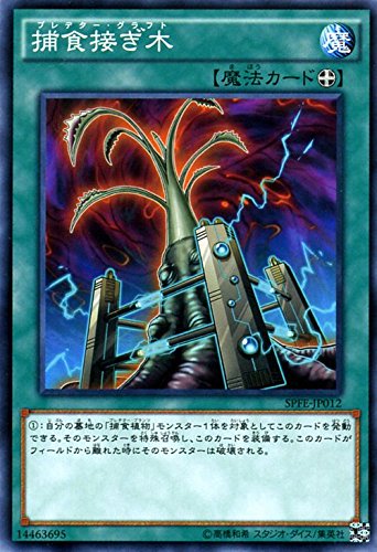 Amazon.co.jp: 遊戯王 捕食接ぎ木（プレデター・グラフト
