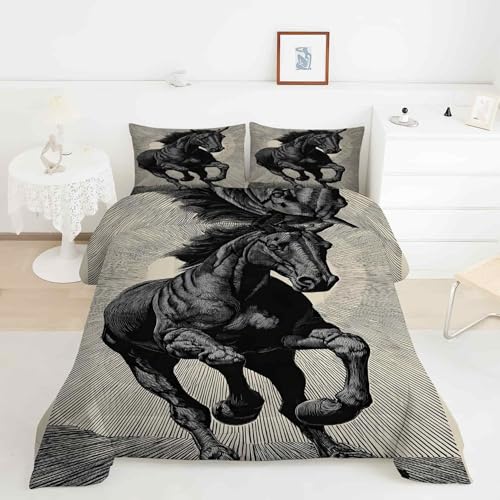 EXSANLIEAY Edredon Cama 115 Steed Edredón 4 Estaciones 220x220 cm | Edredon Invierno Reversible Doble Cara con Relleno Mezclas de Fibras, Ligero y Cálido, Tensión, Incluye 2 Fundas 50x75 cm