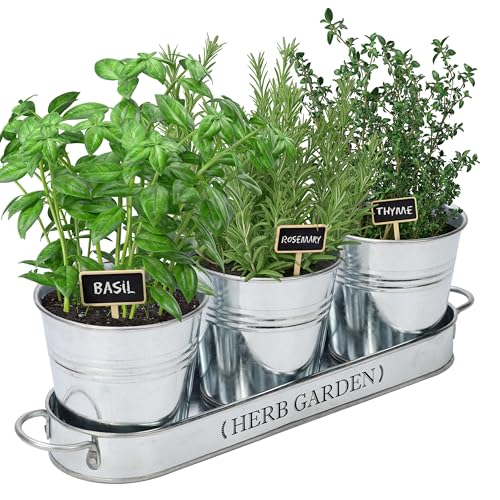 Perfnique Indoor Herb Garden, Herb Garden Planter For Indoor/Outdoor cover