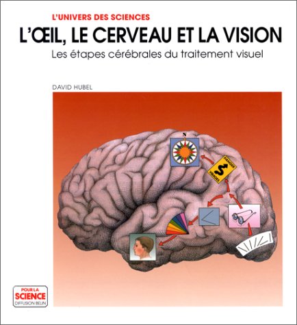 L'OEIL, LE CERVEAU ET LA VISION. Les étapes cérébrales du traitement visuel