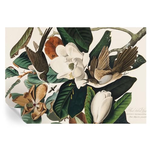 Mural de magnolias de pájaros 152x104 cm para crear un hogar acogedor y zen 2