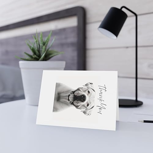 Miniatura 6 de DistinctInk Greeting CardNote Card -Dogo Argentino Photograph Birthday - PACK of 50