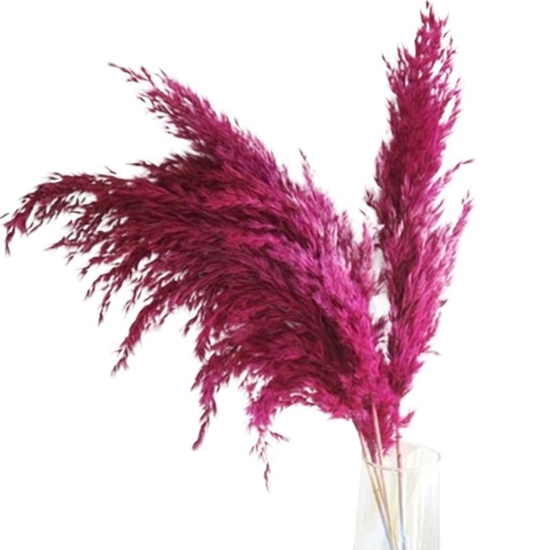 Pampas Decoratieve Veren Decoratieve Bloemen Wit, Rozenboeket Kunstbloemen Para Decoratie Klein Pampasgras (roze