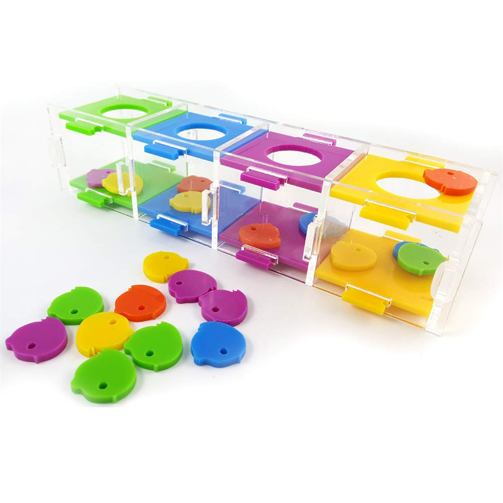 N / A Bird Intelligence Training Toy, Parrot Color Separation Coin Box Acrylic Education Gym Playground Toy for Medium Large Parakeet Cockatiel, Conure, Budgie, Macaw, Lovebird