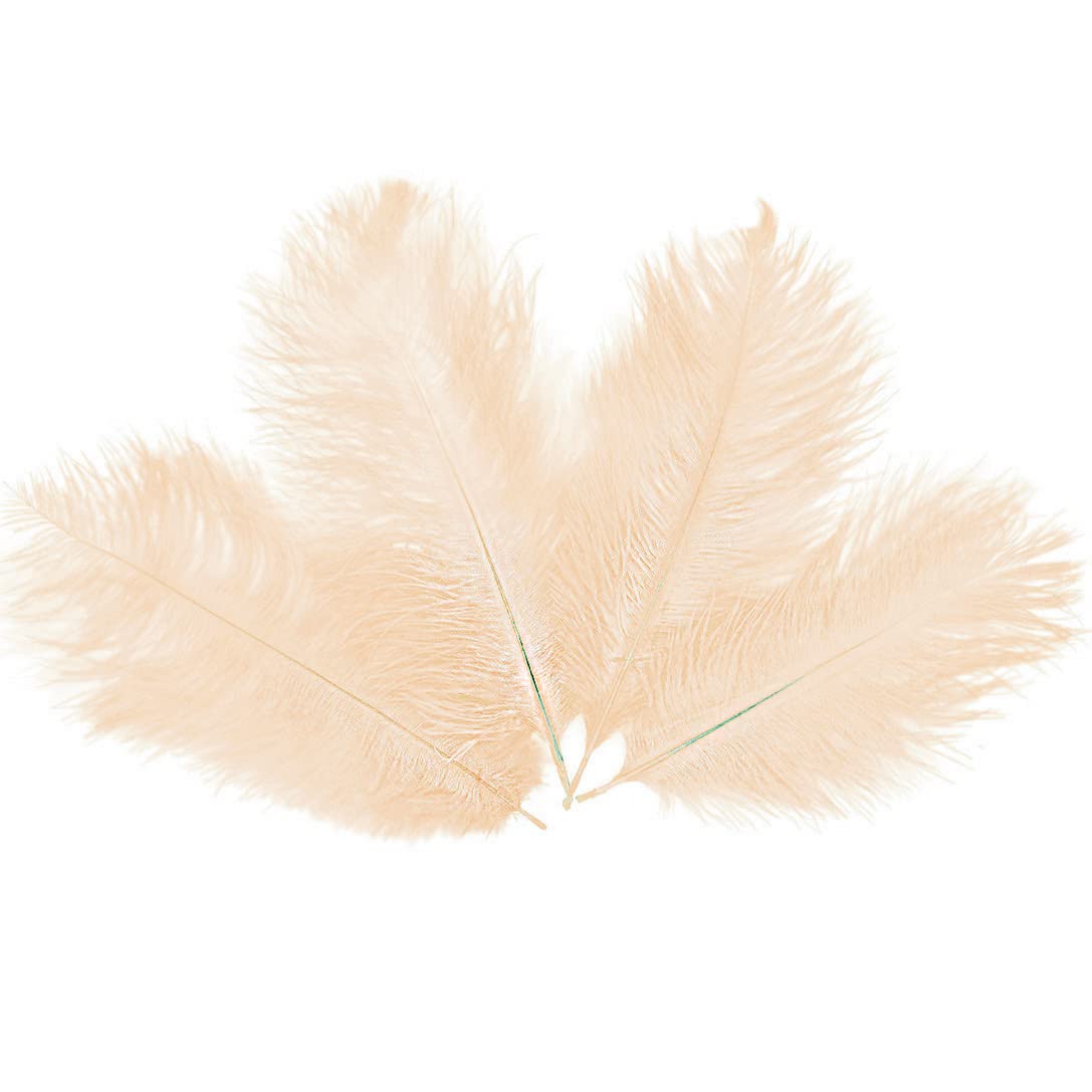 Little Snow Direct 5PCS Ostrich Feathers Plumes Fluffy 10-12 Inches Long - Cream