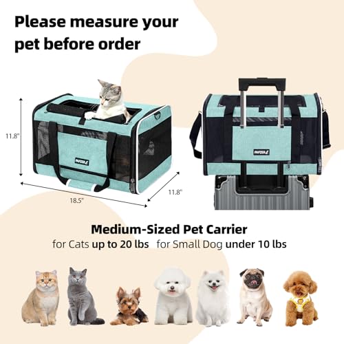 Image of Cat Carrier Soft-Sided 18x11x11 Inch Travel Bag for Medium Cats Over 15lbs, Small Dog Carrier Crate Top Entry Breathable Mesh Puppy 12 Pounds, Pet Rabbit Carrying Cage Kennel Collapsible Teal