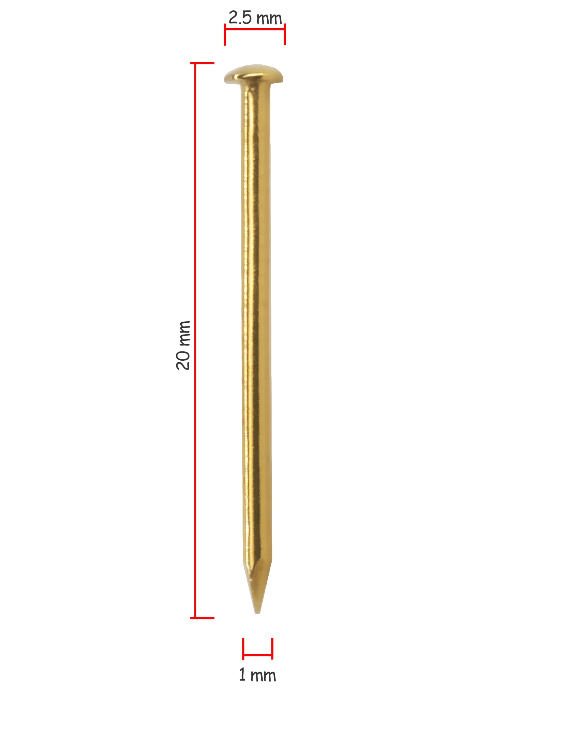 FUXXER 100 chiodi in ottone dorato, antiruggine, piccole unghie decorative, per mobili, fai da te, 20 x 2 mm