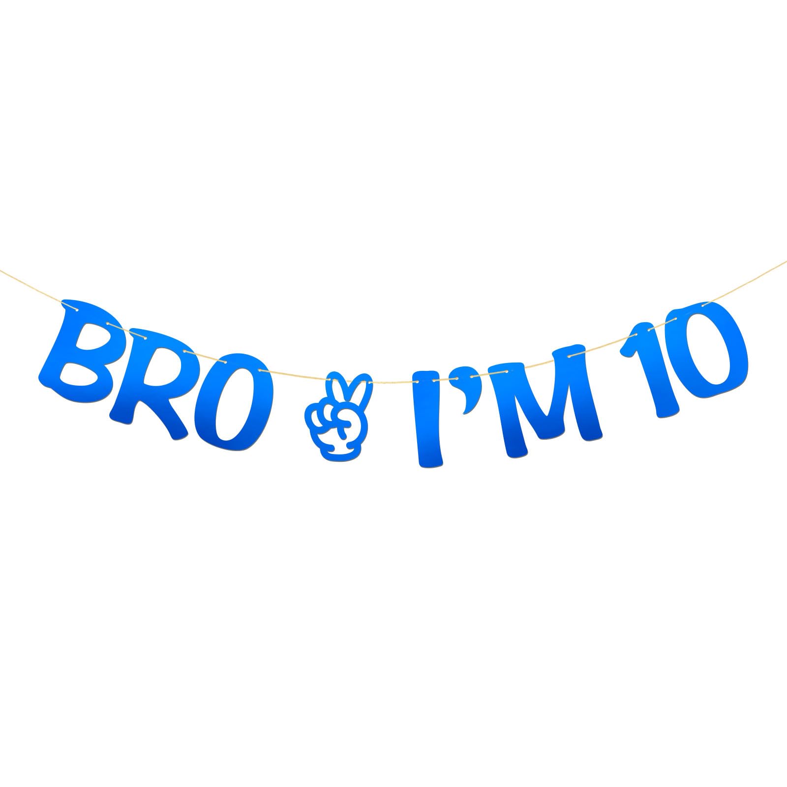 Brother I'm 10 Banner - Boy 10th Birthday Party Supplies - Ten Years Old - Big Brother 10th Birthday Party Decoration - Mirror Blue