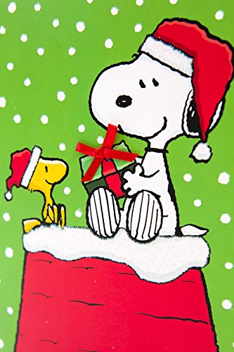 Hallmark Peanuts Christmas Boxed Cards, Snoopy (16 Cards And 17 Envelopes) #TOP3