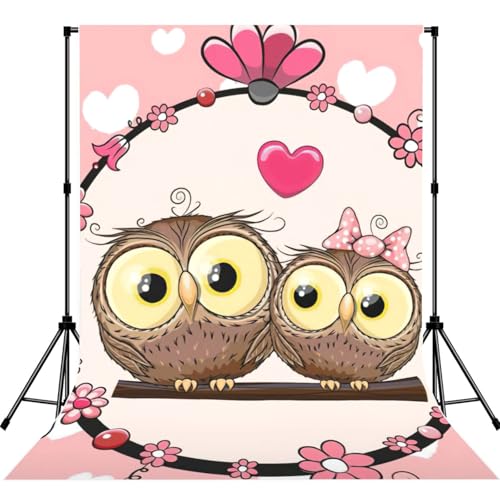 Toile de fond chouettes mignonnes sans reflet pour shooting photo