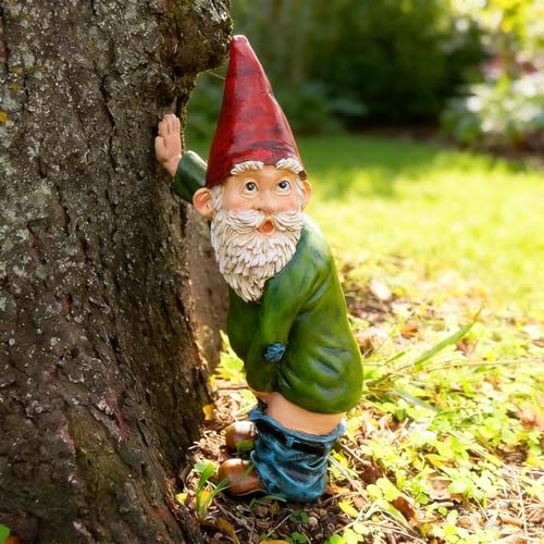 Norhogo 1 pcs Garden Gnomes Ornaments, Naughty Gnomes for Lawn Ornaments, interesting Peeing Gnome, funny garden ornaments, Waterproof Resin Funny Garden Gnome Statue for Patio Yard Lawn Porch, 15cm