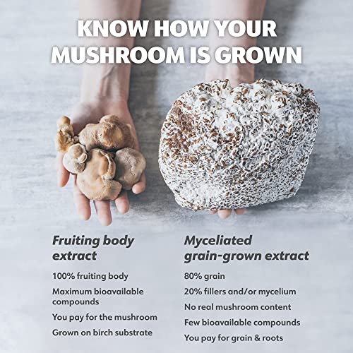 Loov Bundle – 2 Items Organic Wild Blueberry Powder And Organic Shiitake Extract #TOP7