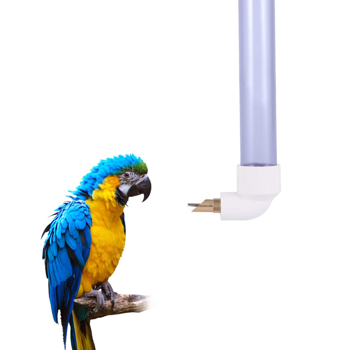 BCOATH 2pcs Parrot Water Bottle Automatic Pet Drinking Feeder Parrot Water Drinker Dish Easy to Assemble and