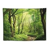 Weiches Material: Dieser Wandteppich besteht aus 100% Polyestergewebe, das weich, langlebig, farbecht, hautfreundlich, leicht und einfach aufzuhängen oder zu verstauen für den Innen- oder Außenbereich.