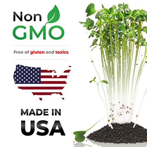 Strongus Broccoli Sprouting Seeds - Non-GMO, Natural, Natural Seed Sprouter - Sustainable for Year-Round Microgreen Garden Planting & Growing, Indoors or Outdoors - Grown in The USA -1/2 LB Pack - Thumbnail 4