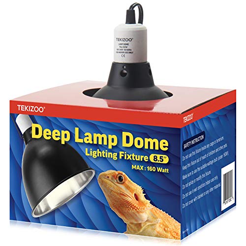 Top 15 Best Battery Powered Heat Lamp For Reptiles Reviews 2023