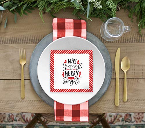 Xmas Paper Napkins, Festive, Cute & Fun Merry Christmas Quote Napkins: Funny Saying Recycled Napkins Decorative Disposable Holiday Dinner, Lunch / Luncheon, Buffet Party 40 Ct 6.5 Square #TOP3