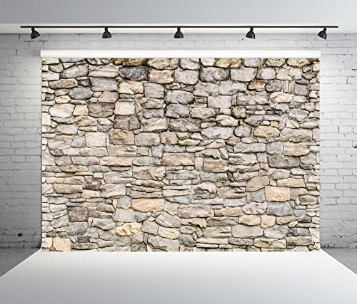Fondo fotográfico BELECO 8x6 ft piedra vintage gris miniatura 2