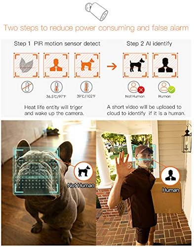 Diagram showing two steps to reduce power consumption and false alarms: Step 1 PIR motion sensor detect, Step 2 AI identify. Below, two images show the camera identifying a dog as 'Not Human' and a person as 'Human'.
