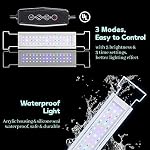 LAQUAL Ultra Clear Small Fish Tank with Filter & Light (3 Gal), Rimless Glass Low Iron Aquarium Starter Kit, Beta Fish Tank & Filter with Surface Skimmer & 3-Mode LED Light