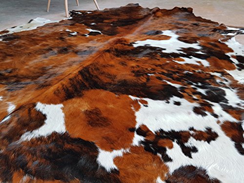 Ecowhides Tricolor Brazilian Cowhide Area Rug, Cowskin Leather Hide For Home Living Room #TOP3