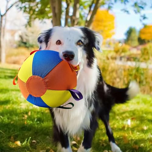 Balle interactive pour chiot jouet résistant aux morsures