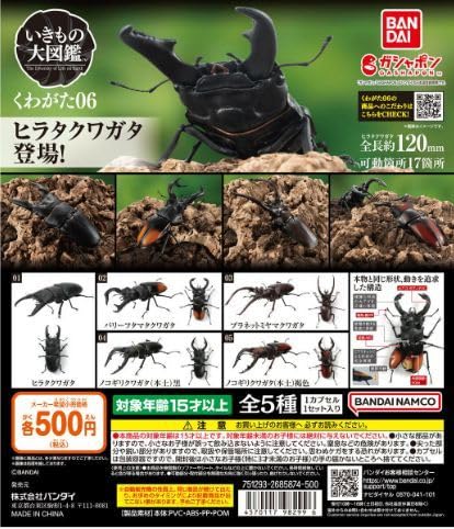 Amazon.co.jp: ノコギリクワガタ （本土）黒 いきもの大図鑑 くわがた