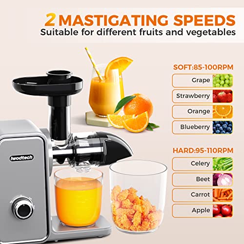 Slow Masticating Juicer, Iwodtech Cold Press Juicer With 2-Speed Modes, Juicer Machine For Vegetable And Fruit, Easy-To-Clean, Silent Motor And Reverse Function, With 2 Cups, Galaxy Grey #TOP2