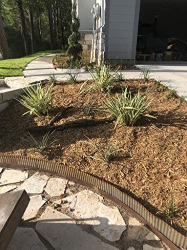 Corrugated Garden Edging (6in W x 10ft L, Rusted)