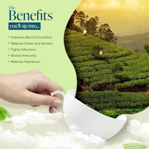Image of Winty Ginger Lemongrass Green Tea 30 Tea Bags | Wellness Brew | Rich in Antioxidants | Aromatic Blend | Herbal Tea for Natural Detox