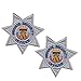 2 Pack – Private Security Guard, Officer Shoulder Patch Embroidered Star Shape, Silver
