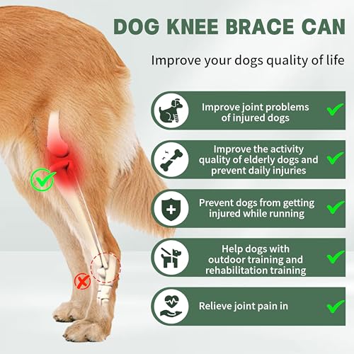 Adjustable Dog Hind Leg Brace for Small to Large Dog,Dog Knee Brace for Torn Acl Hind Leg with Metal Stabilizer- Keeps The Joint Warm and Stable,4 Size,L. by Foorose - Used condition - Image 2