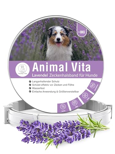Animal Vita® Lavendel Zeckenhalsband für Hunde [Effektiver Schutz vor Ungeziefern] wasserdicht und verstellbar - bis zu 8 Monate Zeckenschutz mit 100% natürlichen Inhaltsstoffen, Lavendel