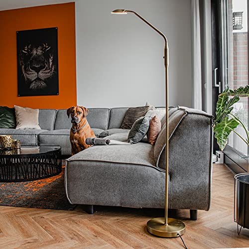 Qazqa led Modern Stehleuchte, Stehlampe - Eva - Bronze, inkl. 5W integrierter LED, 3000K, warmweiß, dimmbar, 149cm, Ideal als Schlafzimmerlampe und Wohnzimmerlampe