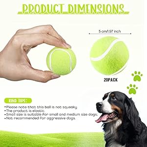 Hanaive 20 Pieces Dog Tennis Balls 2 Inch Mini Tennis Balls for Small Dog Pet Fetching Toy Rubber Felt Training Toys for Puppy Pet Playing Exercise and Practice(Yellow) Hanaive 20 Pieces Dog Tennis Balls 2 Inch Mini Tennis Balls for Small Dog Pet Fetching Toy Rubber Felt Training Toys for Puppy Pet Playing Exercise and PracticeYellow