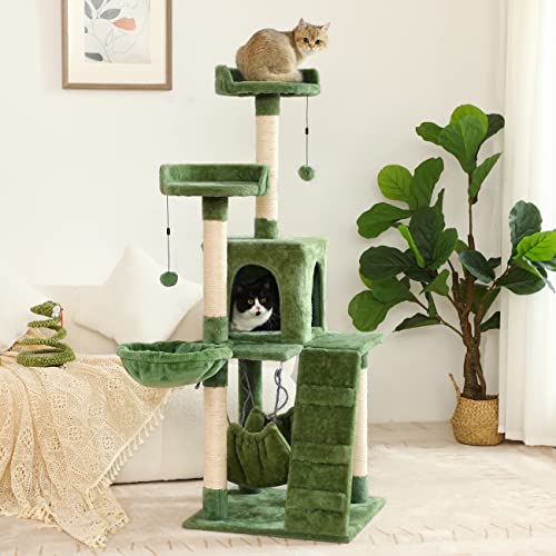 Cat Trees The 15 best products compared Wild Explained